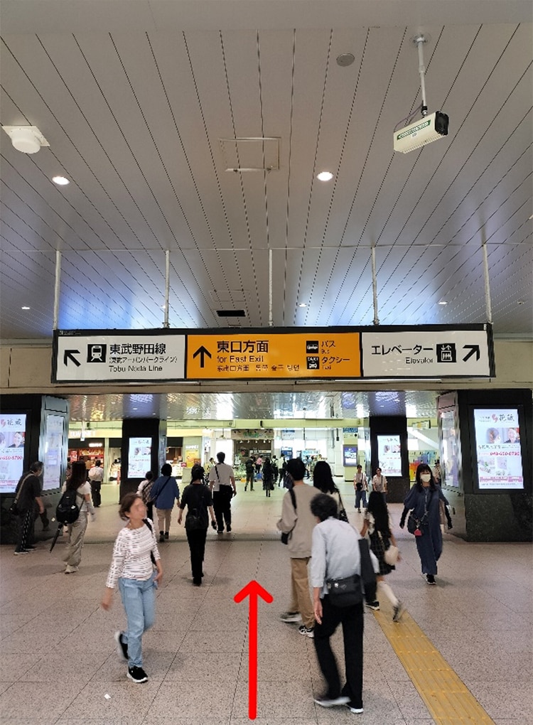 公式案内画像