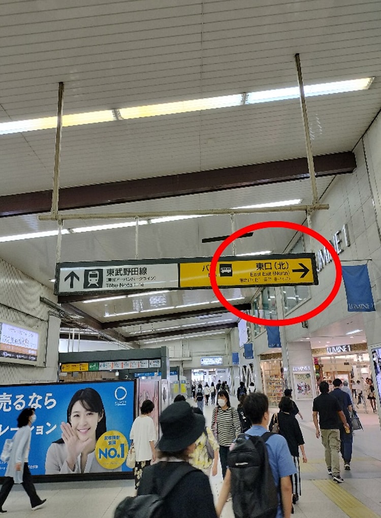 公式案内画像
