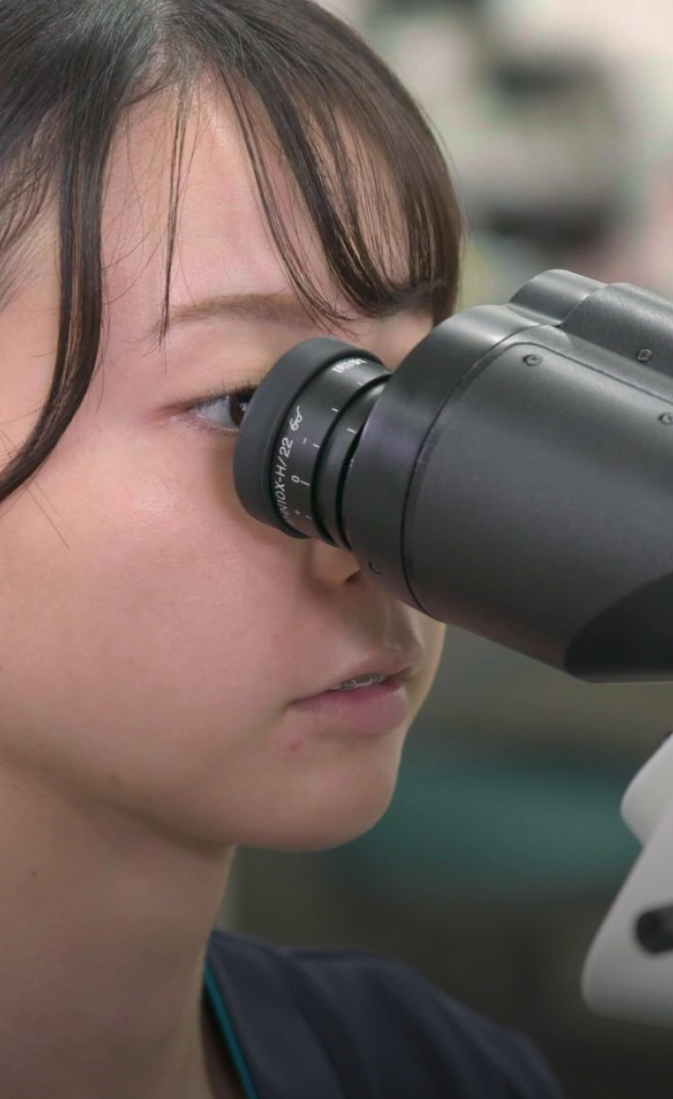顕微鏡を用いて検査するスタッフ