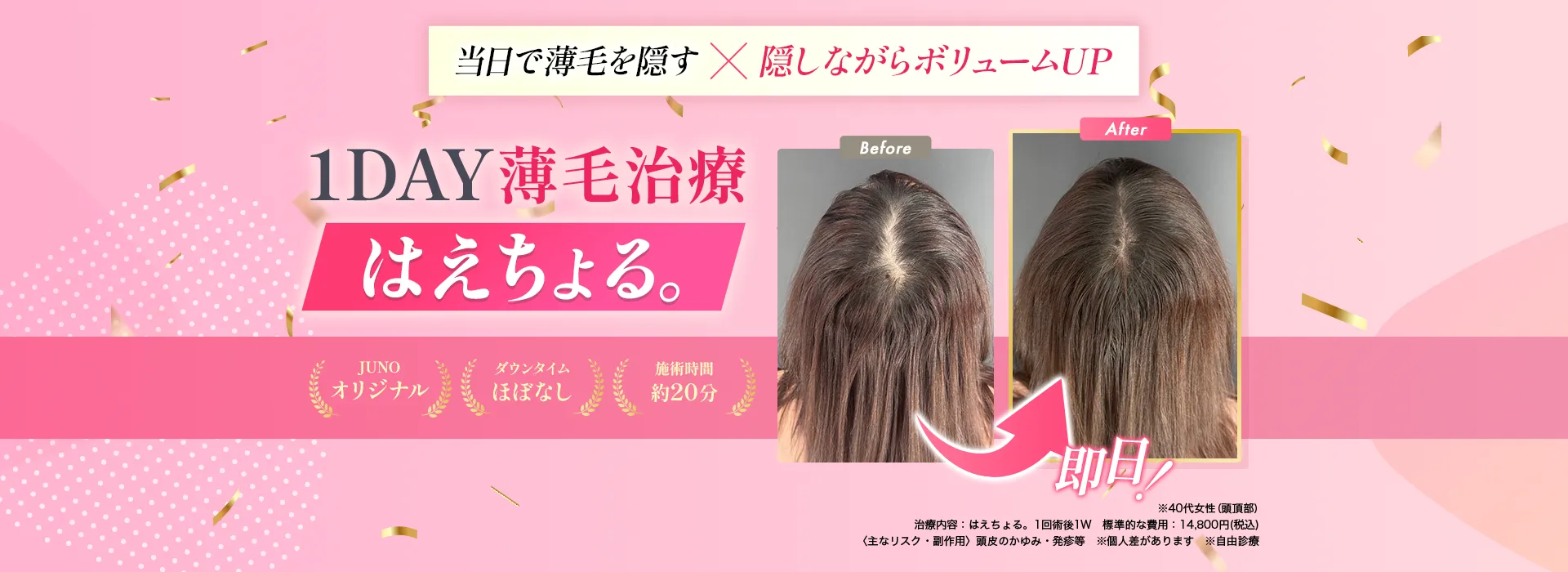 公式案内画像