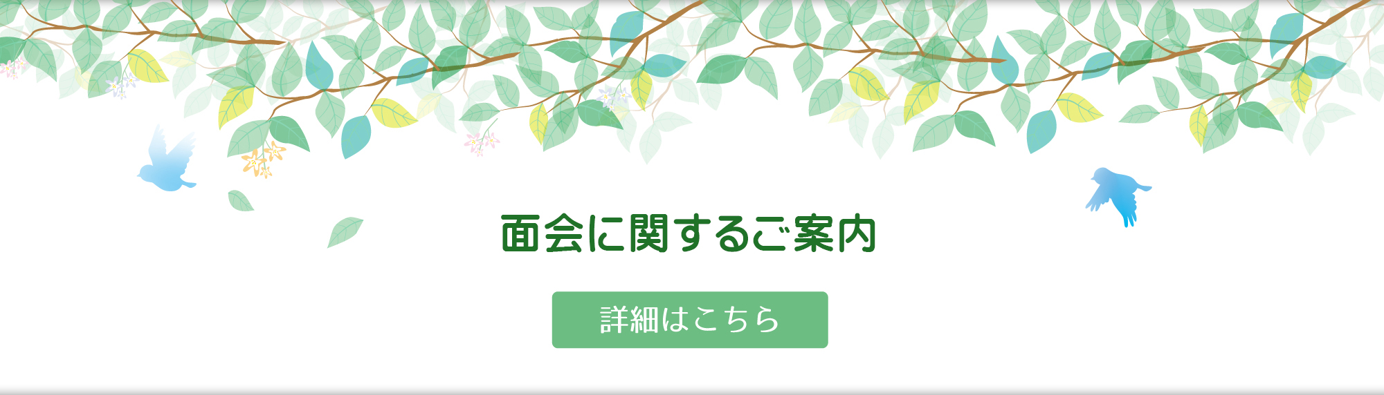 公式代表画像