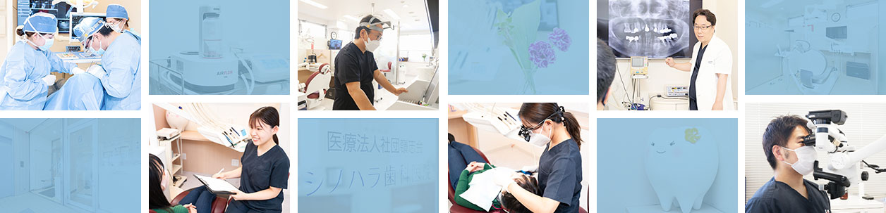 公式案内画像