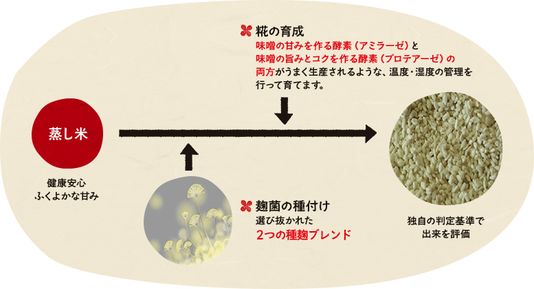蒸し米から麹を育てる工程