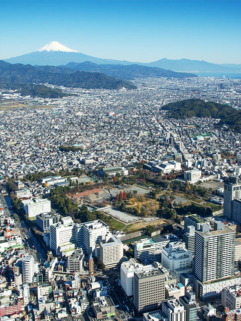 公式代表画像