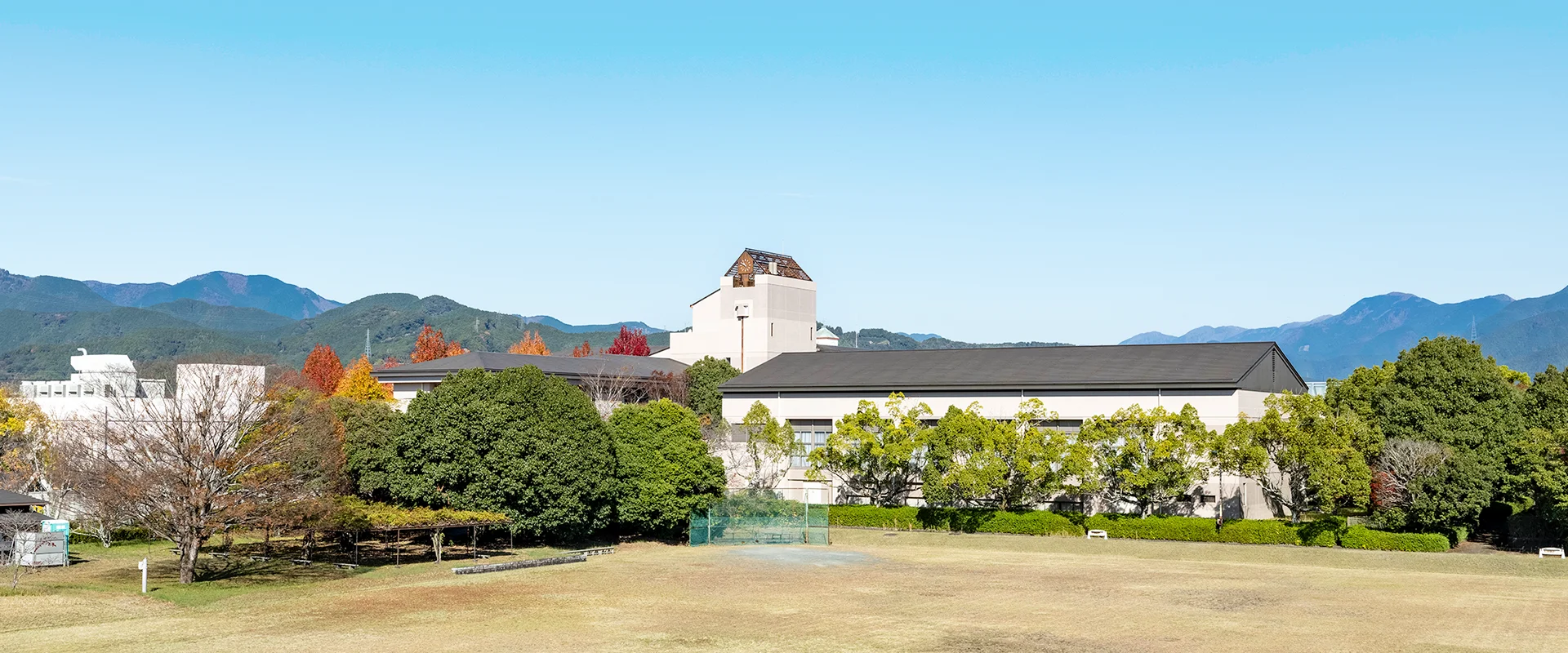 公式代表画像