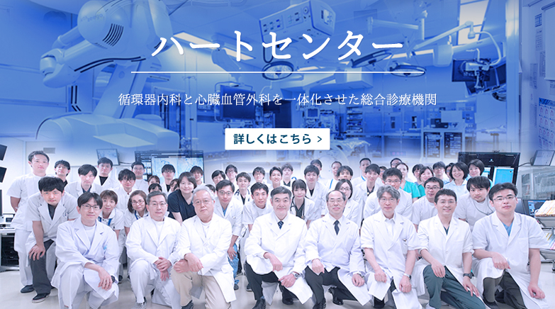 公式案内画像