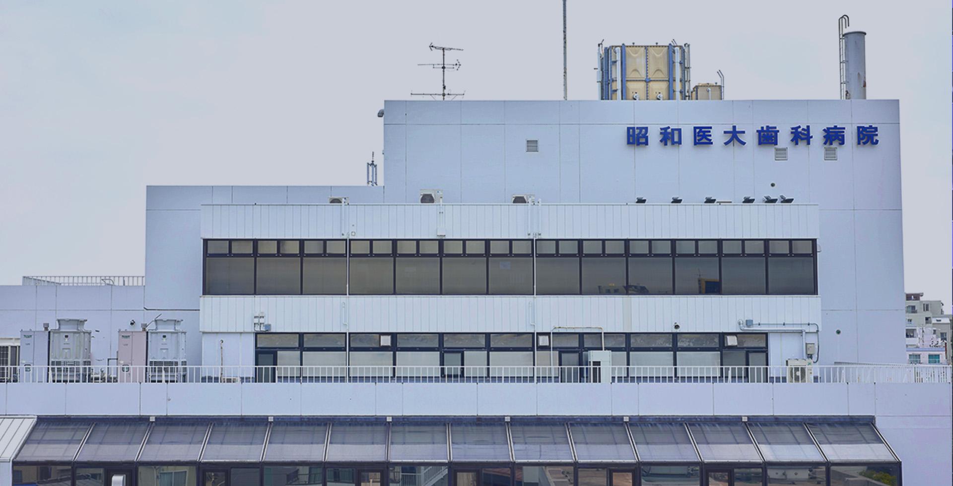 昭和医科大学歯科病院 の写真