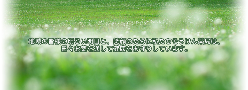 公式案内画像
