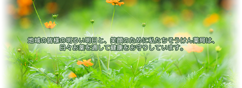 公式案内画像