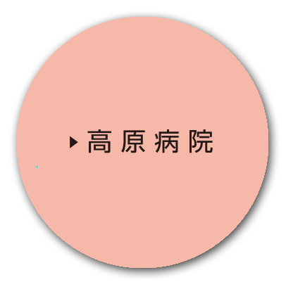公式代表画像