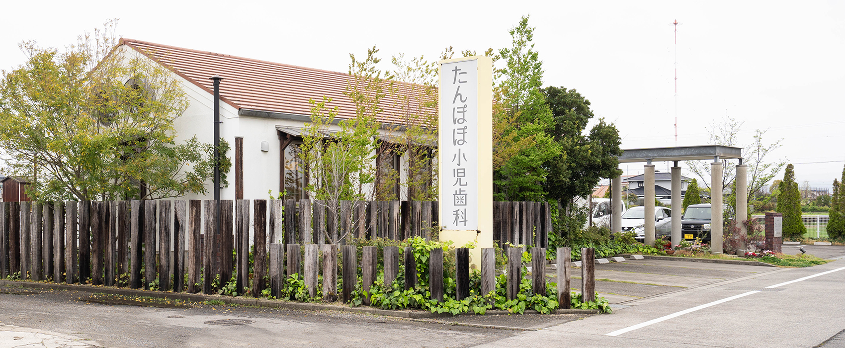 公式案内画像