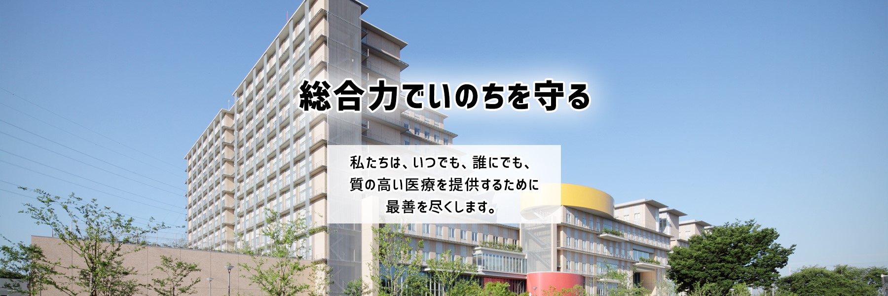公式代表画像
