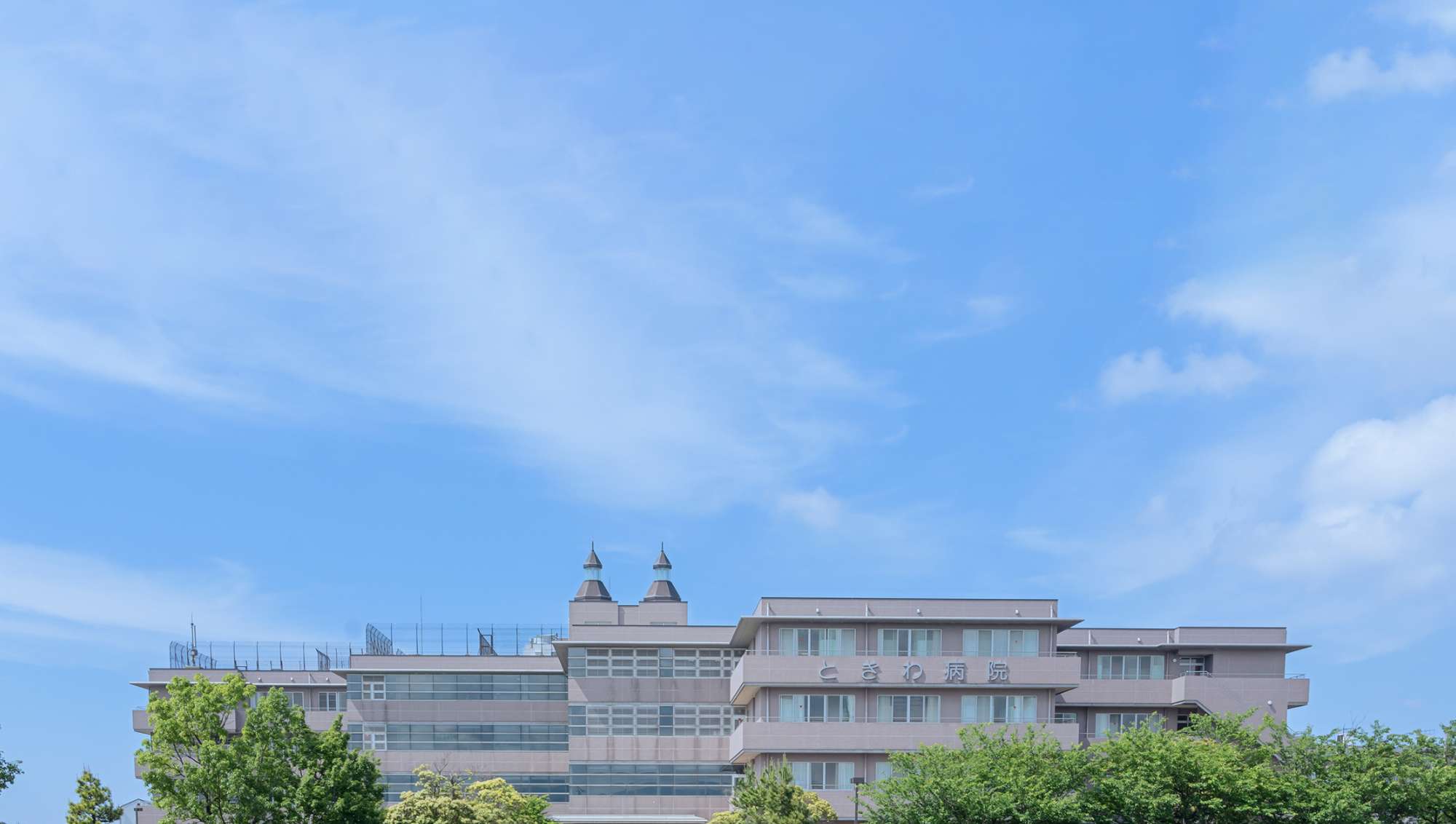 公式案内画像