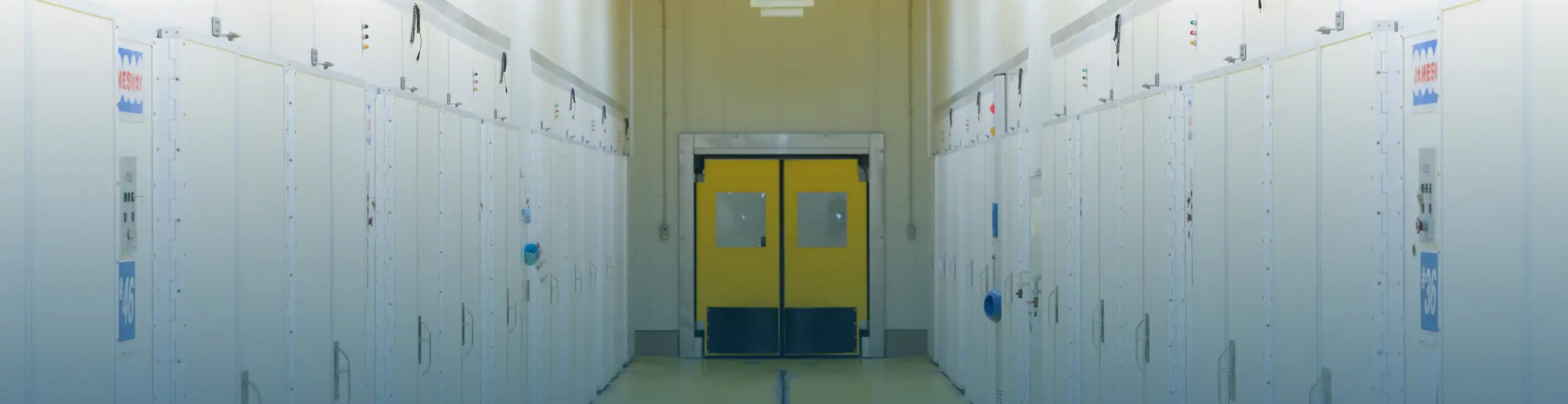 公式案内画像