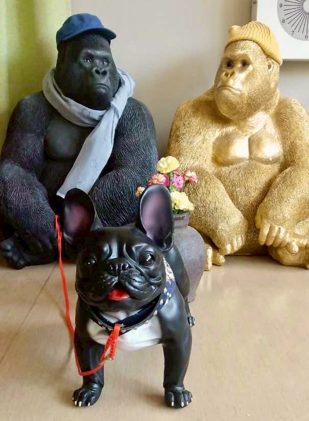 公式案内画像
