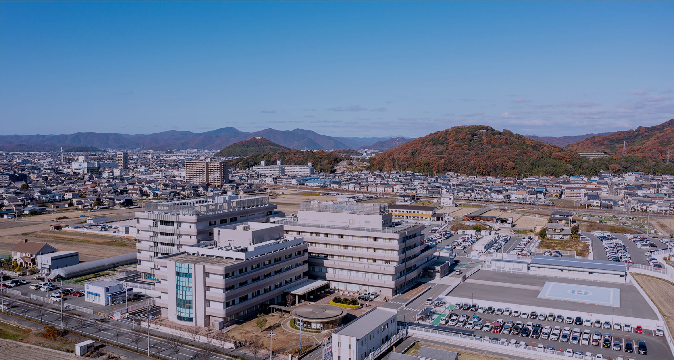 公式案内画像
