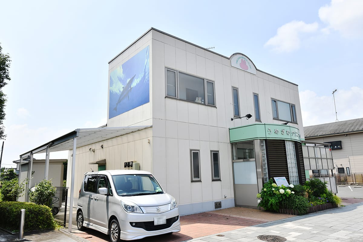 公式案内画像