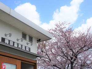 梅田歯科医院 の写真