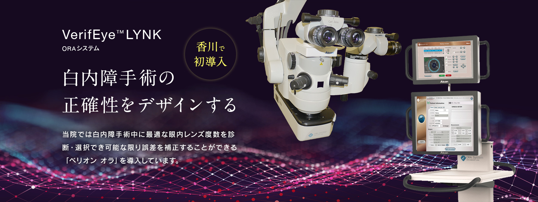 公式案内画像