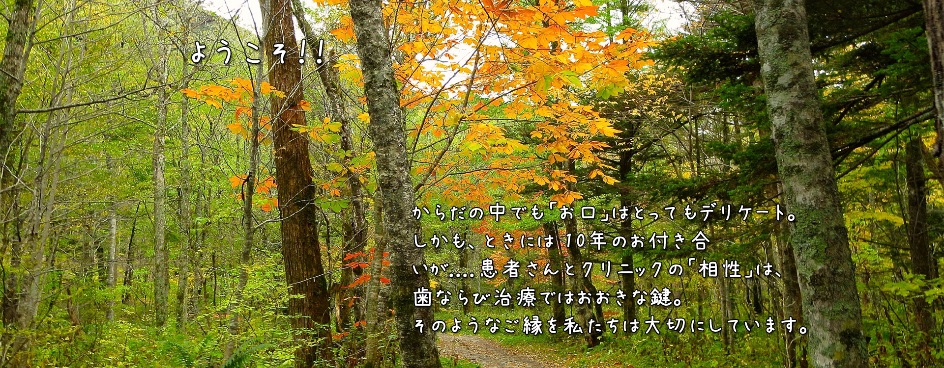 びクリニック の写真
