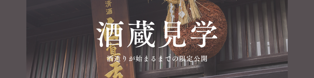 公式案内画像