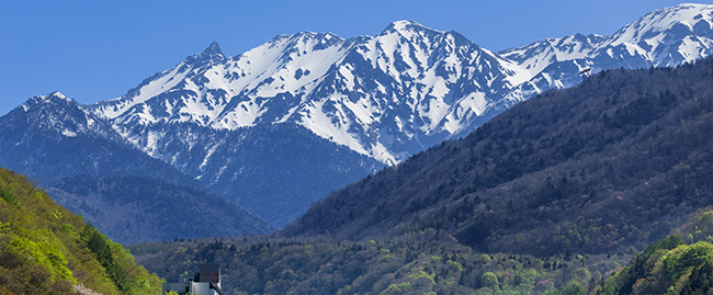 公式水ページに掲載された、仕込み水の源を示す北アルプスの山並み