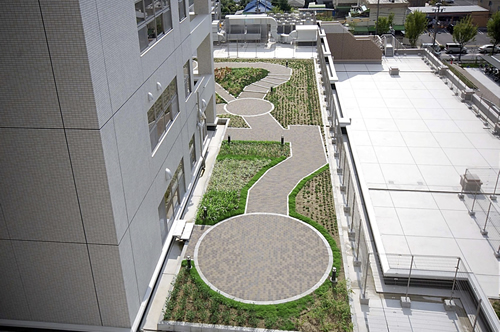 病院建物に隣接する屋上庭園
