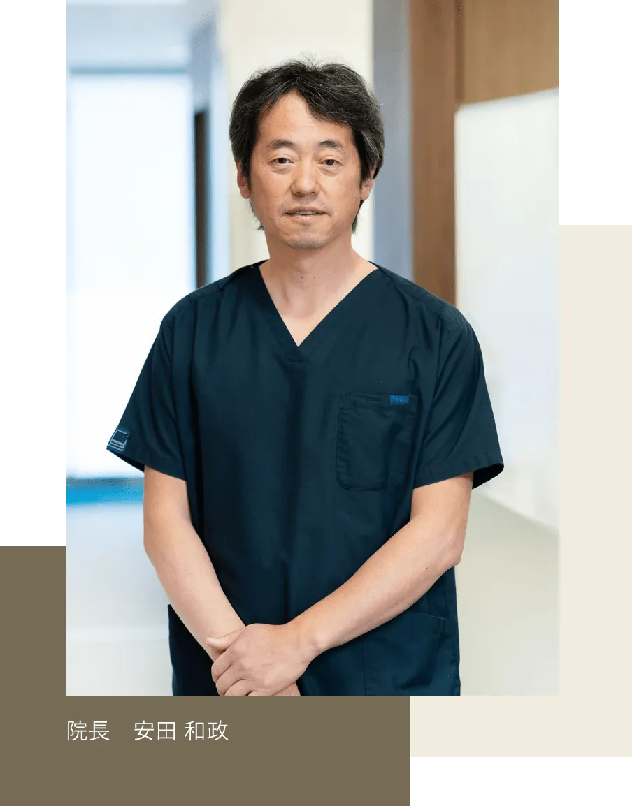 公式案内画像