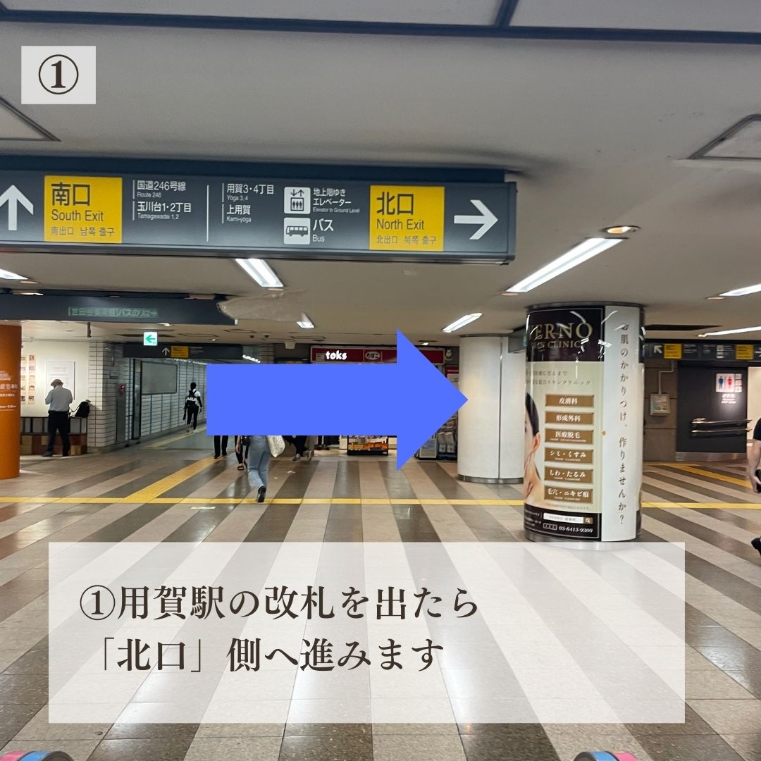 公式案内画像
