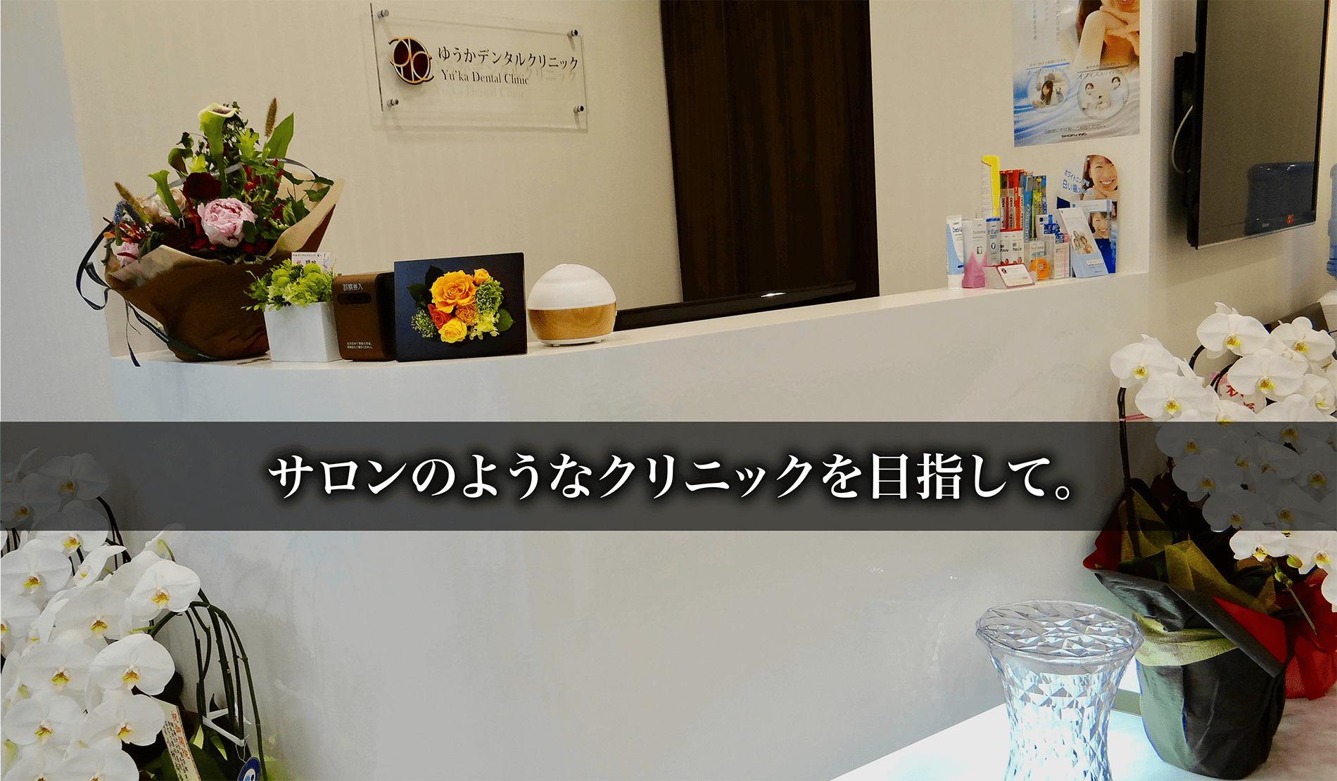 公式案内画像