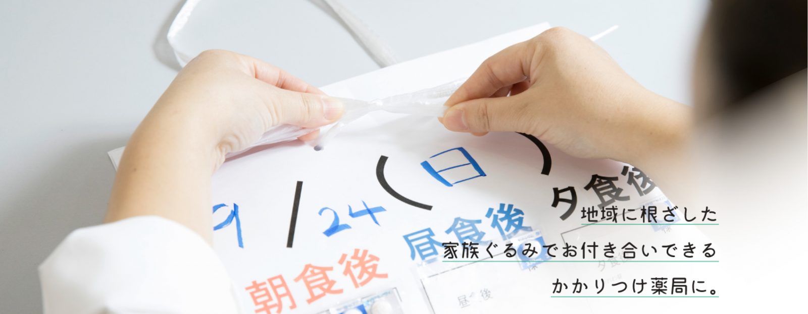 公式案内画像