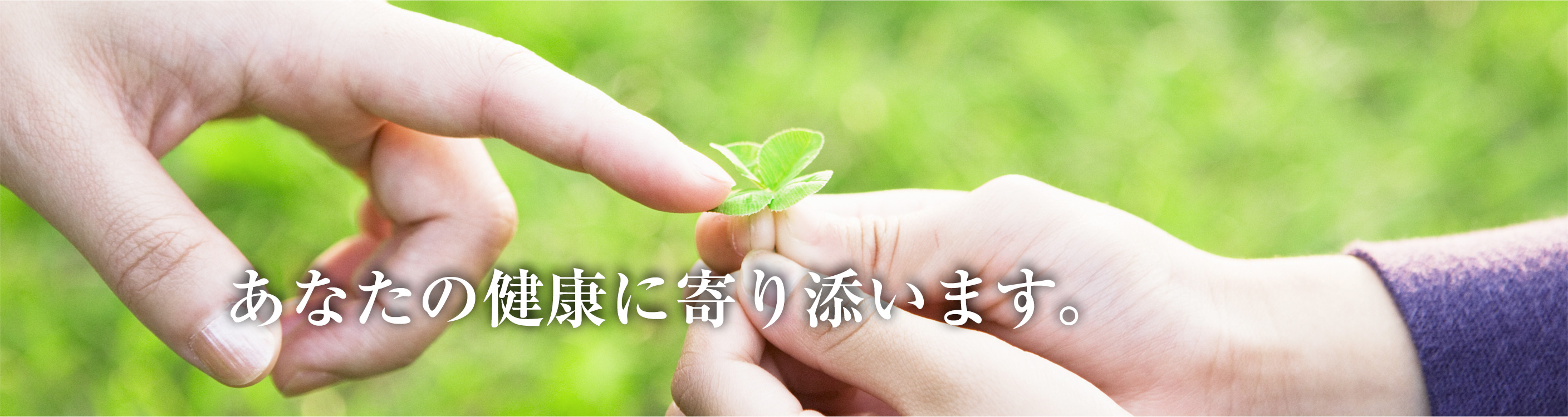 天神森調剤薬局 の写真