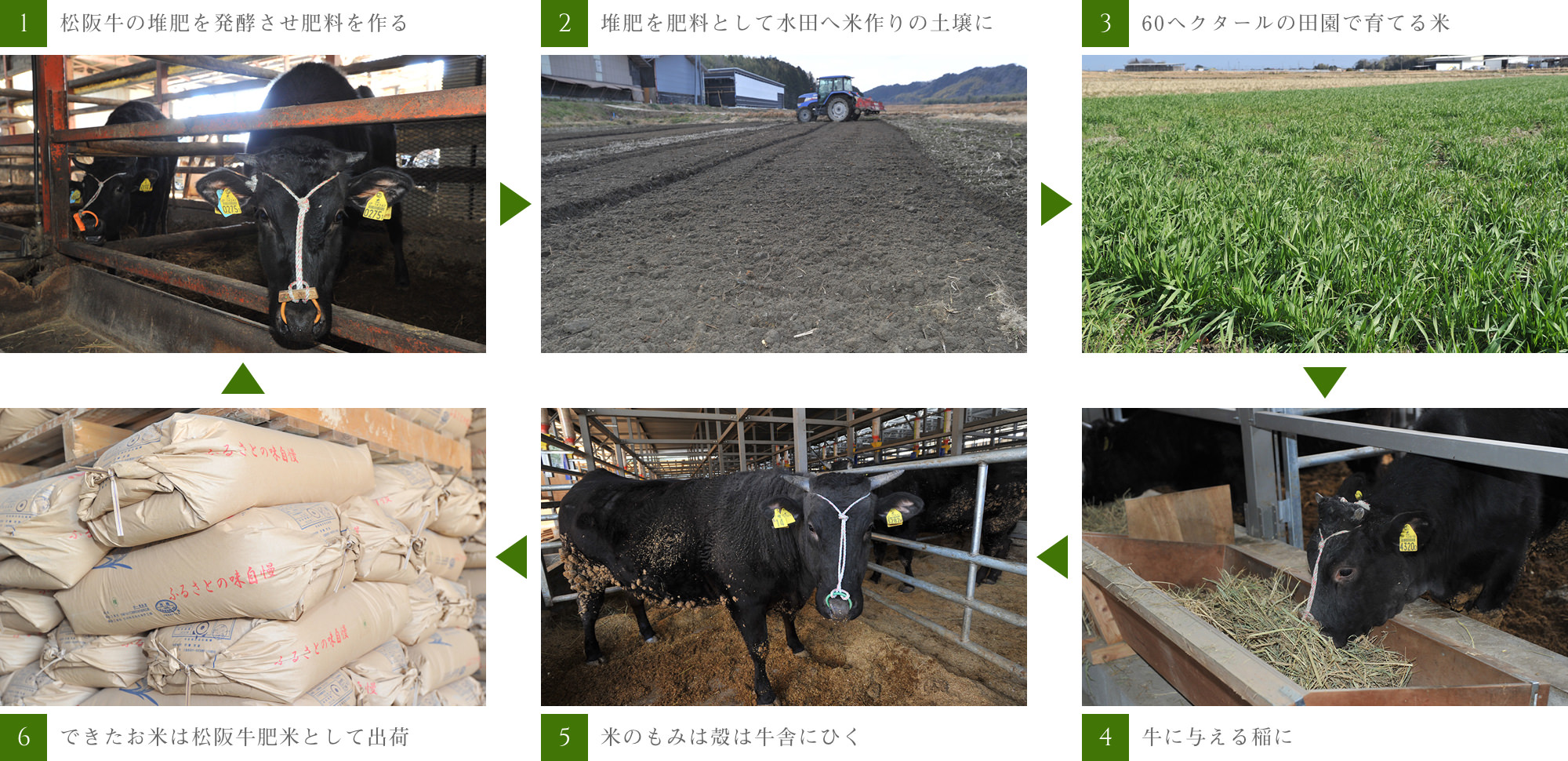 有限会社伊藤牧場 の写真