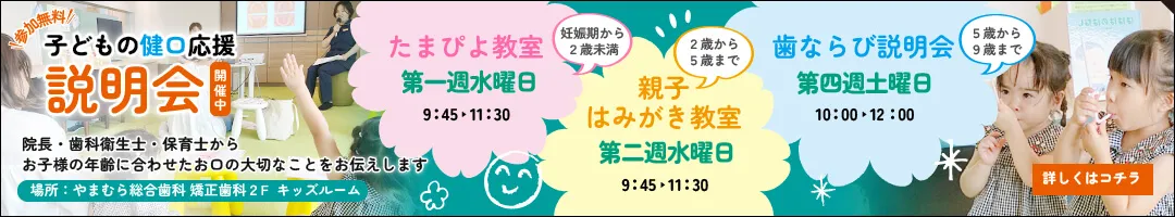 公式案内画像