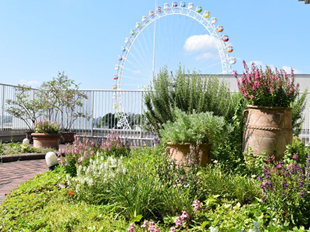 公式施設案内に掲載される花々のある屋上庭園