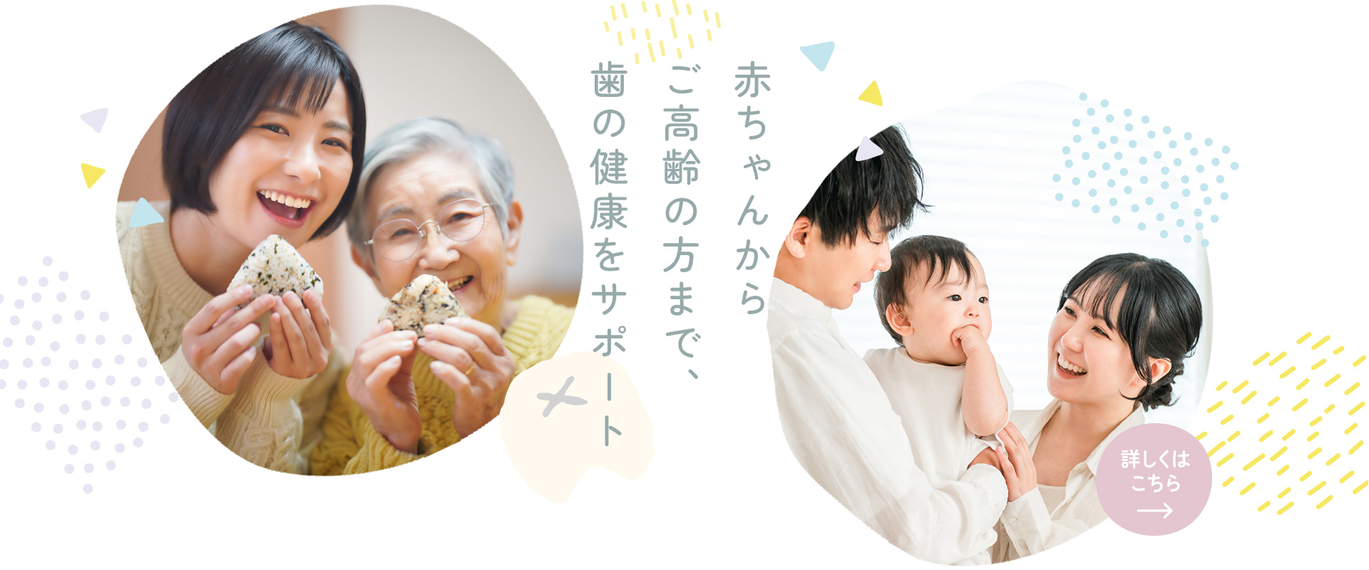 公式案内画像